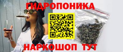 дживик Новозыбков