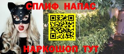 дживик Новозыбков