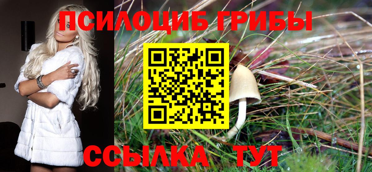 Сызрань  Галлюциногенные грибы ЛСД  Вход с VPN 